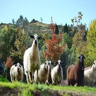 Hotel Quinta Da Mata Chaves